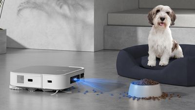 Hackers hijack Ecovacs robot vacuums to shout racial slurs and chase pets — what you need to know