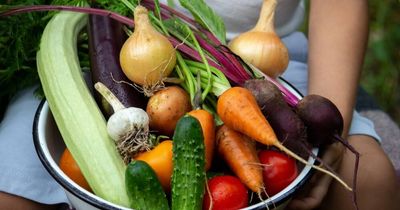 Budget beaters: grow these veg to save big on your grocery bill