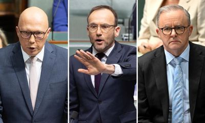 How Australia’s political parties have split over Israel and Gaza