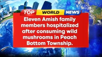 Amish Family Hospitalized After Ingesting Toxic Wild Mushrooms