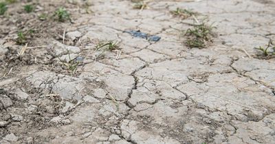 Scottish Government to send aid to drought-hit communities in Africa