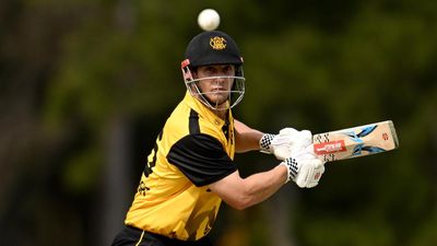 Cartwright to the rescue as WA beat Bulls in Perth