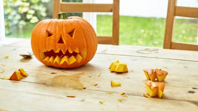 How to clean up pumpkin stains – 4 tricks to keep your home clean this fall period