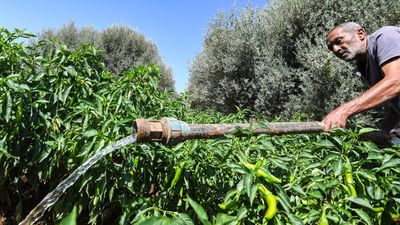 Tunisian farmer revives parched village with EU funding