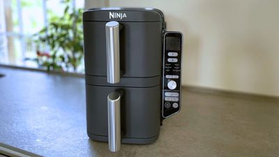 I've finally tested the Ninja DoubleStack Air Fryer - is it all it's cracked up to be?