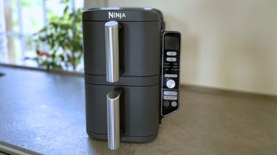 I've finally tested the Ninja DoubleStack Air Fryer - is it all it cracked up to be?