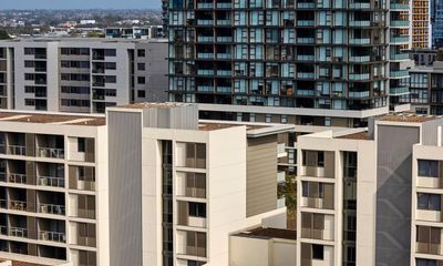 Business council blames slow local decision-making for feeding Australia’s housing supply crisis