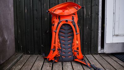 Salewa Ortles Wall 38L Backpack review: a technical pack that delivers