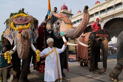 AP PHOTOS: An elephant procession for Dussehra draws a crowd in the former Mysore kingdom