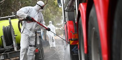 ‘Awful reality’: Albanese government injects $95 million to fight the latest deadly bird flu