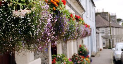 Book lover's 'heaven' in Scotland named one of the best market towns in the UK