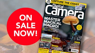 Get 14 bonus gifts with the November 2024 issue of Digital Camera