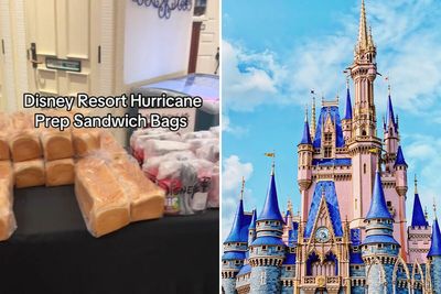 Guests Stuck In Disney Resort During Hurricane Milton Charged $10 For “Prep Sandwich Bags”