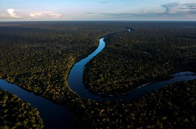 Can Biodiversity Credits Unlock Billions For Nature?