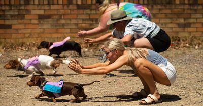 The festival with sausage dog races, fancy dress and a visit from Dr Harry