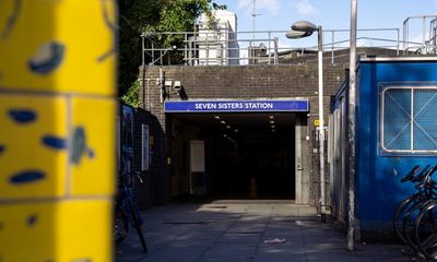 Man arrested over alleged sexual assault on Tottenham fan on train