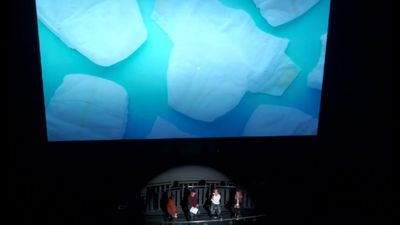 Did you know underwater cinematographers wear diapers on long shoots? Experts share their tips at Bristol Wildscreen Festival