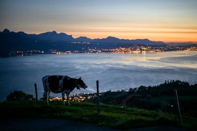 EU Not An 'A La Carte Menu', Members Tell Switzerland