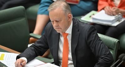 Anthony Albanese’s ‘baffling’ $4.3m buy