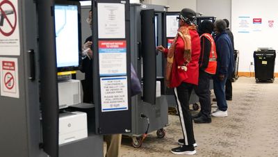 US election: Georgia voters break early voting records in key battleground state