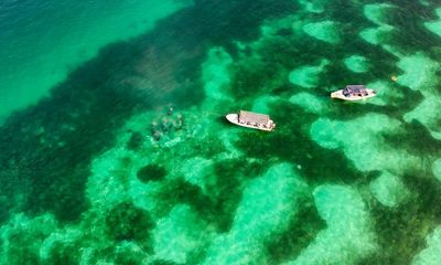 ‘People did not go quietly’: divers explore wreck of 18th-century slave ship where mutiny took place