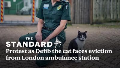 Protest as Defib the cat faces eviction from London ambulance station after 16 years