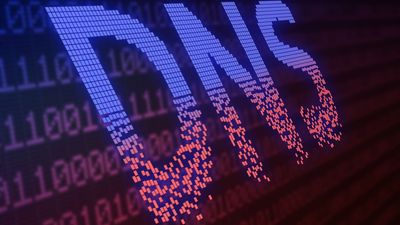 What does it take to manage a top level domain?