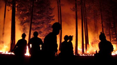 Concerned officials warn of ‘critical’ wildfire risk in the Midwest