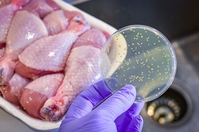 The meat recall has gone stratospheric with nearly 12 million pounds of meat and poultry possibly contaminated with listeria