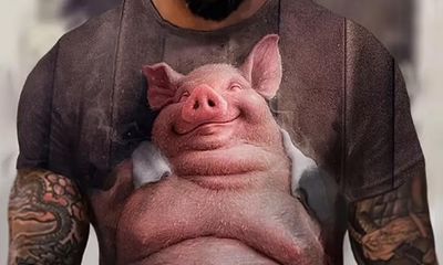 The Temu pig T-shirt: the truth behind a tremendously disturbing top