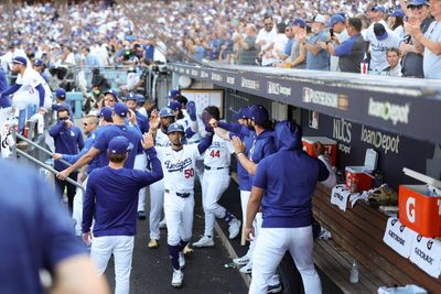 Snakes and batters: reptile slithers into LA Dodgers’ dugout during MLB game