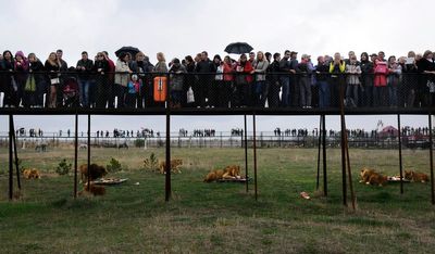 A worker at a Crimean wildlife park has been killed by lions