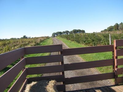 Two boys die in separate Halloween hayrides in Minnesota and Tennessee