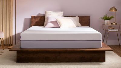 Purple Plus mattress review 2025
