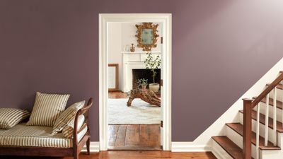 Benjamin Moore's 2025 Color of the Year is a muted, brown-toned plum – proving 'in-between' hues are the way forward