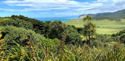 ‘Nature markets’ may help preserve biodiversity – but they risk repeating colonial patterns of Indigenous exploitation