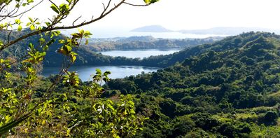 More than 20% of Earth’s plant species are found only on islands – and time is running out to save them