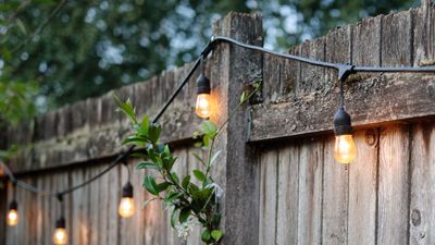 How to light a fence – 5 ways to make a humble fence a little brighter