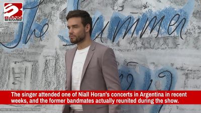 One Direction star Liam Payne dies aged 31 in hotel balcony fall in Argentina