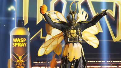 Who is Wasp on The Masked Singer season 12?