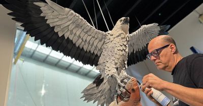 The eagle has landed at Hamilton and it's made of chocolate