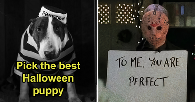 16 Halloween Doggies, But Only One Can Be Crowned The Cutest