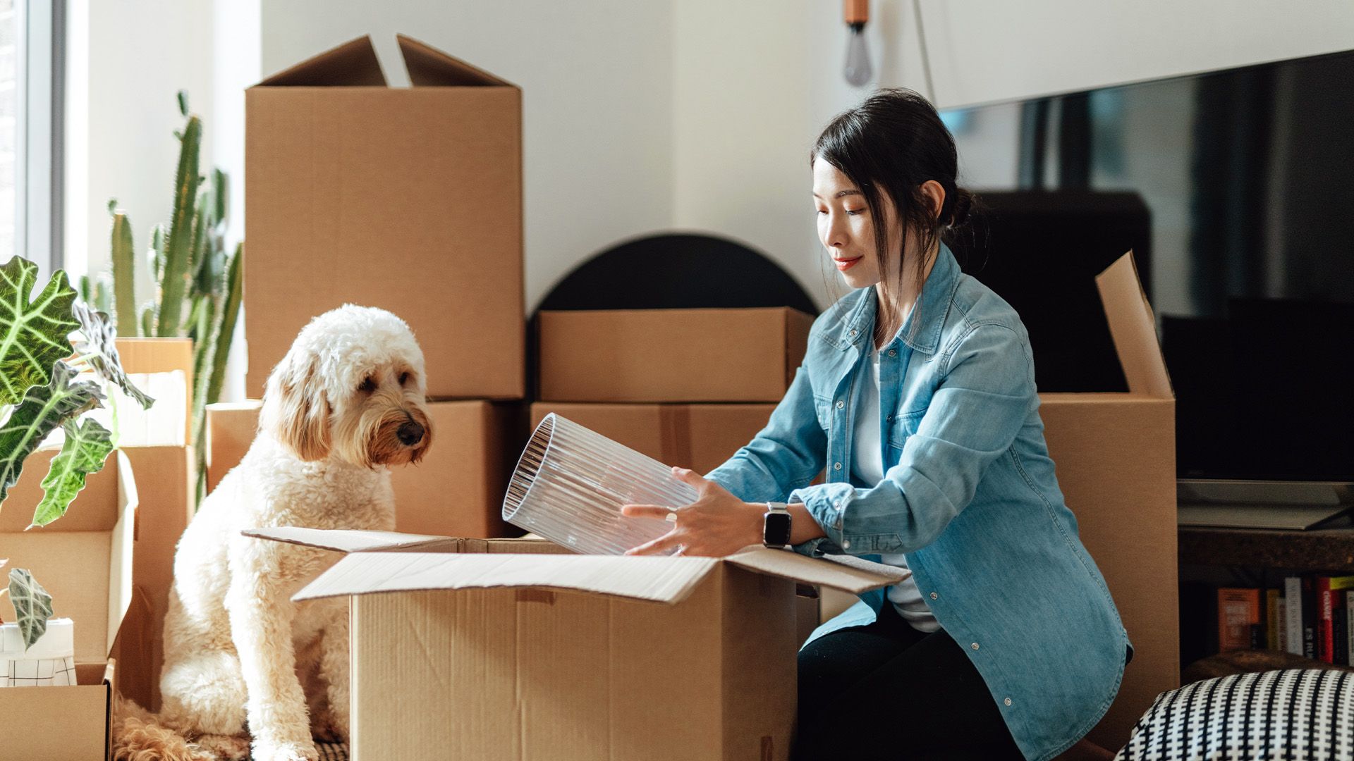 Renting with pets Your questions answered