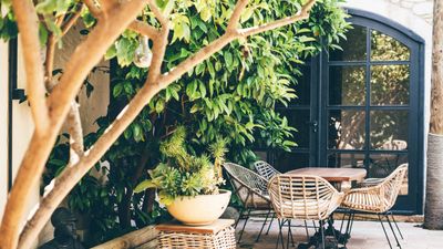 Courtyard garden ideas –17 ways to design an elegant, enclosed space