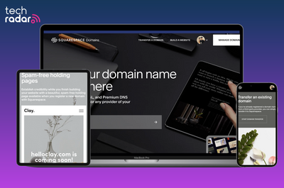 Want to buy a domain from Squarespace? Here is how