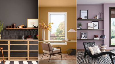 'Vintage with a twist' inspired the new Sherwin-Williams 2025 Color Capsule – here's how to incorporate these retro-ish shades into your home