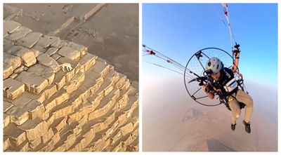 Influencer Paragliding Over Great Pyramid Spots Stray Dog Spotted at the Top: 'None of His Friends Are Gonna Believe Him'