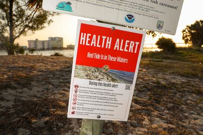 What to know about red tide after Florida's back-to-back hurricanes