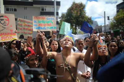 Efforts to combat deforestation in Colombia lag because of armed groups, report finds