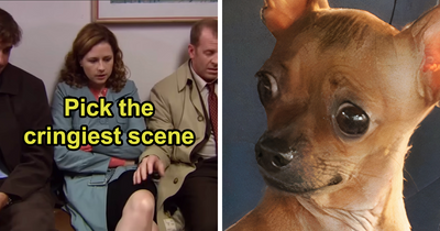 Cringiest Scenes From ‘The Office’ Face-Off